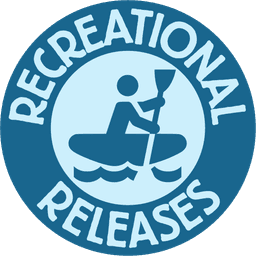 Recreational Release Icon
